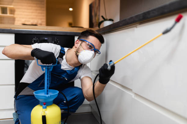 Best Commercial Pest Control Services  in Elsmere, DE