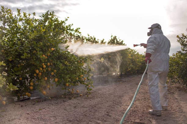 Best Emergency Pest Control  in Elsmere, DE
