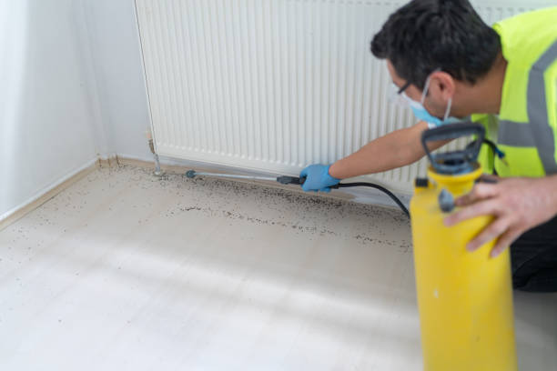 Pest Control Cost in Elsmere, DE